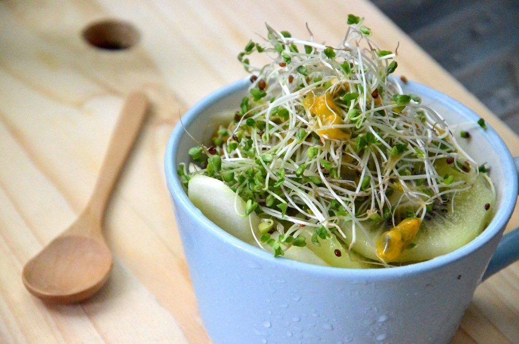 Broccoli Sprouts: The Secret Health Weapon Everyone Should Know About
